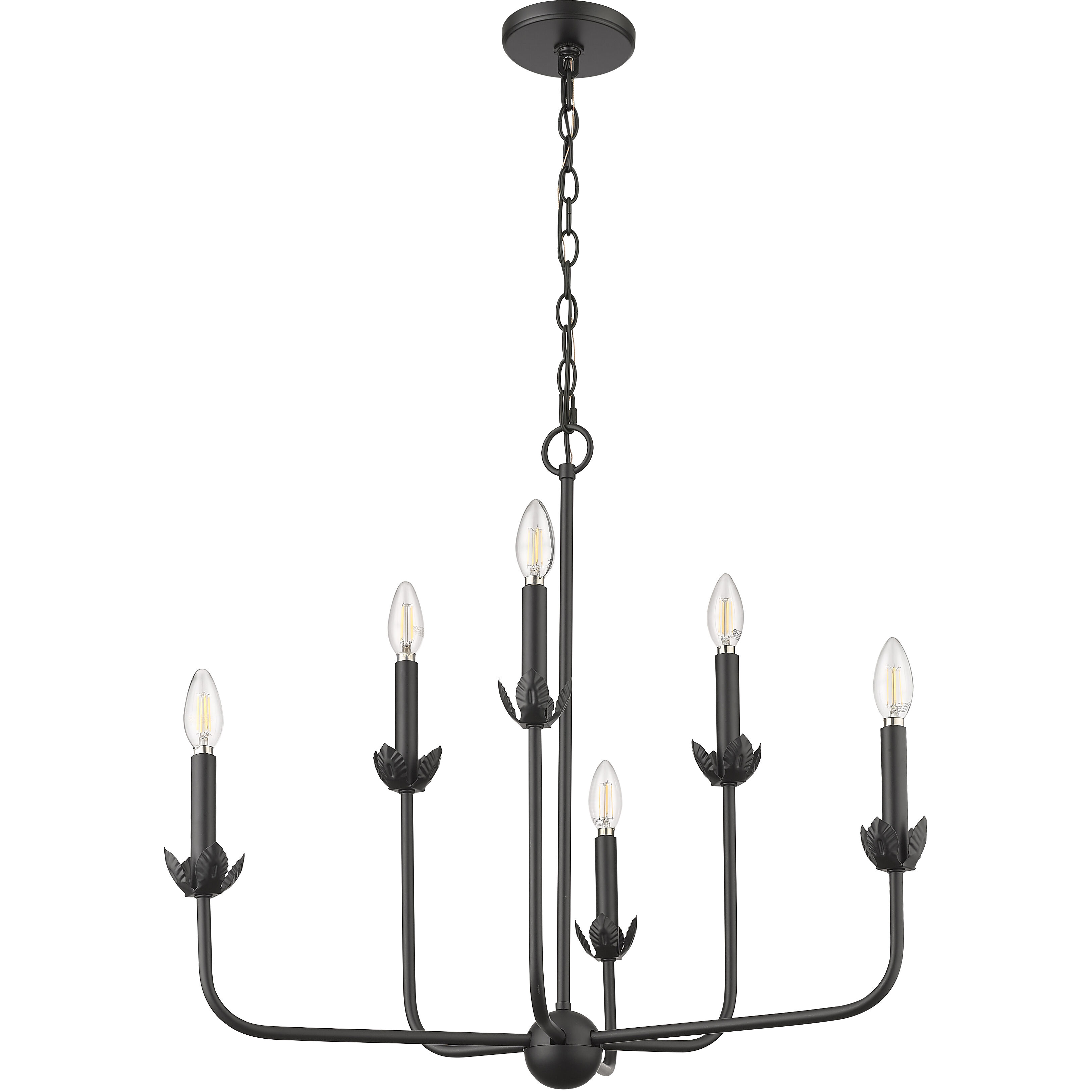 Freesia 6 Light 28 inch Matte Black Chandelier Ceiling Light